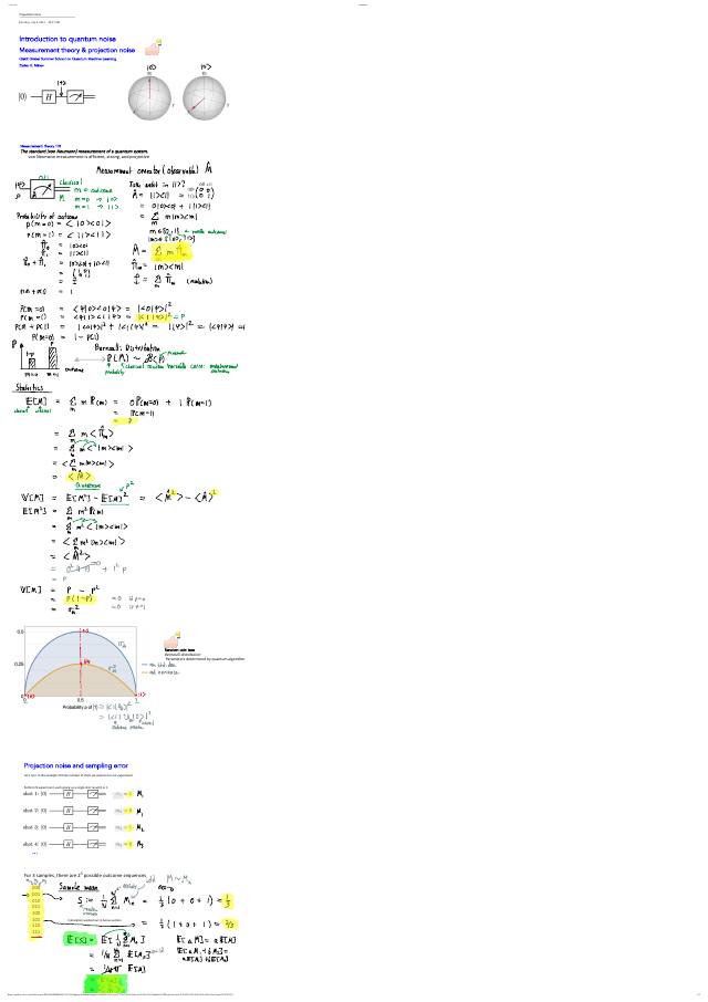 First page of Projection Noise